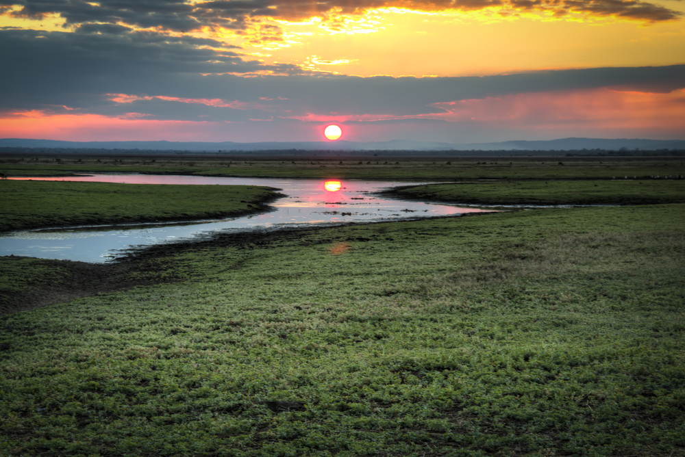 Gorongosa National Park