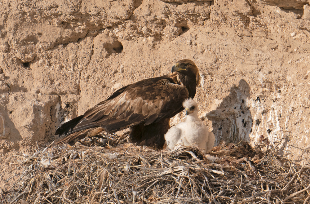 Tazekka National Park
