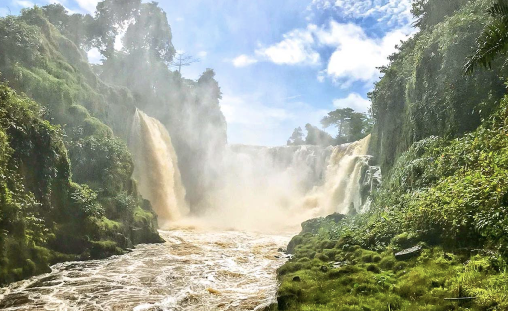 Mwagné National Park