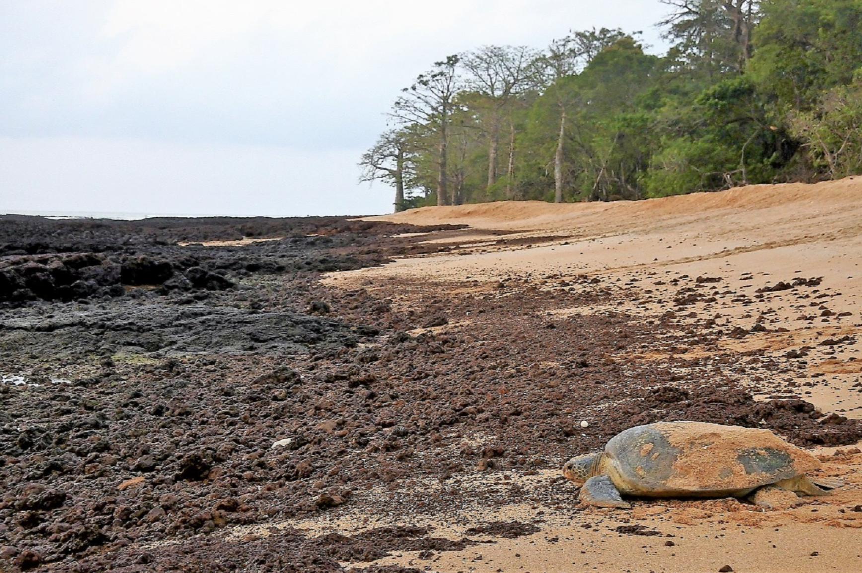 João Vieira and Poilão Marine National Park