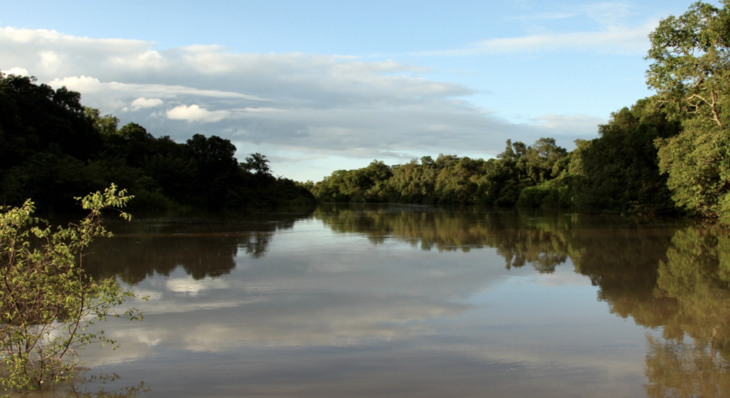 Okomu National Park