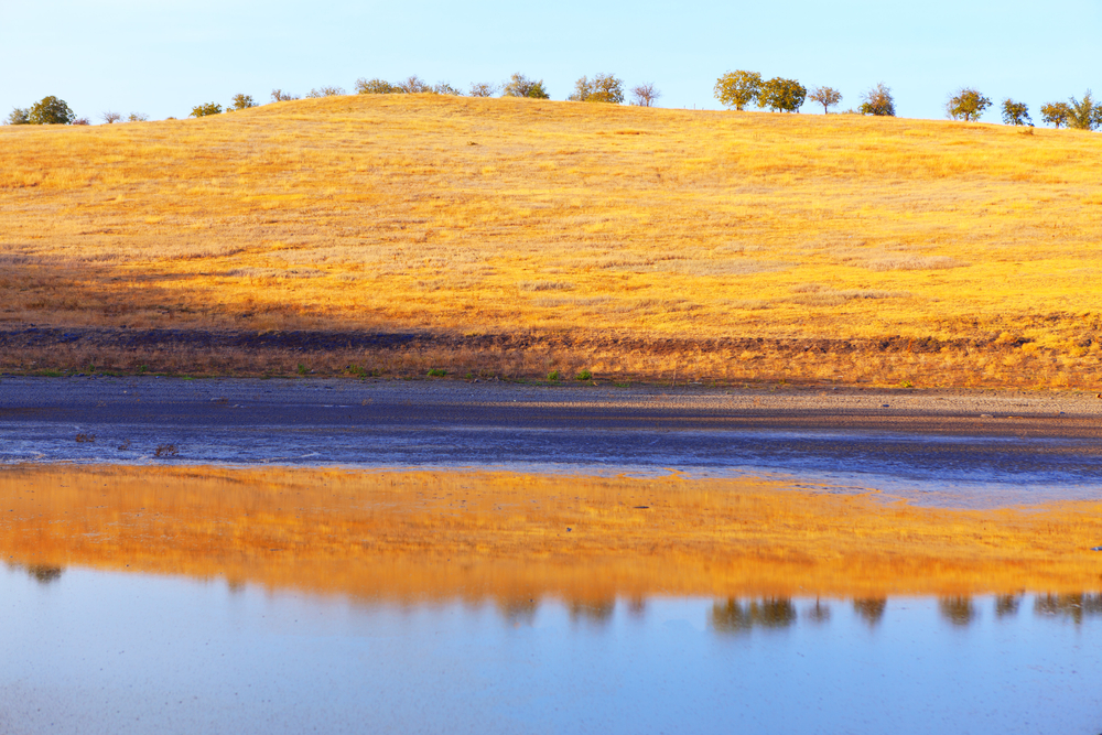 El Naggazza National Park sand gazelles