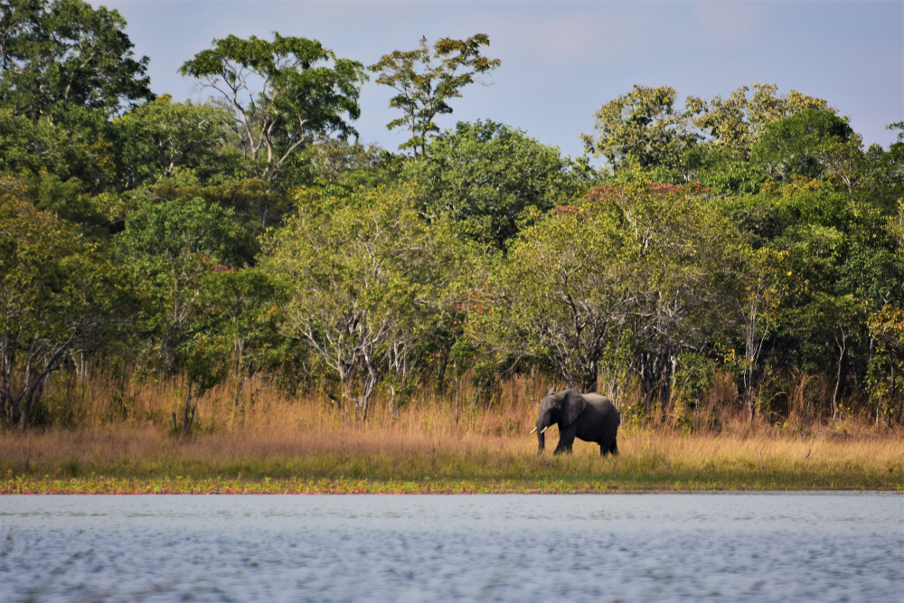 Nyika National Park