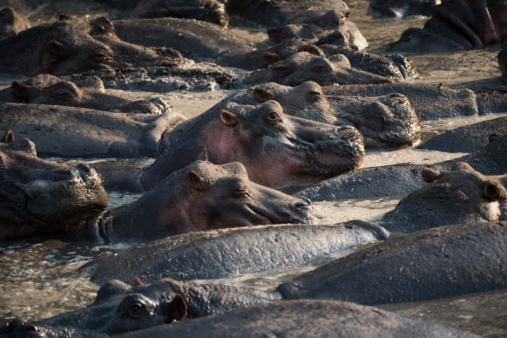 Katavi National Park