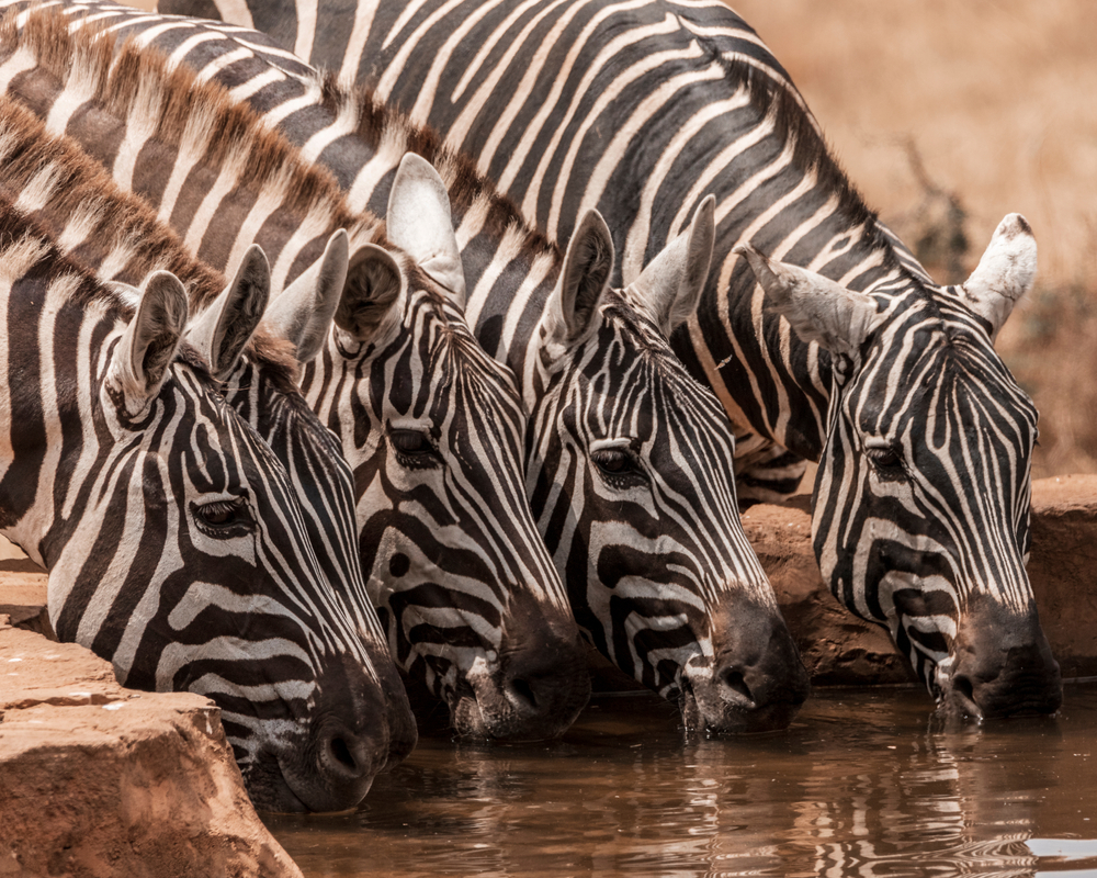 Kidepo Valley National Park