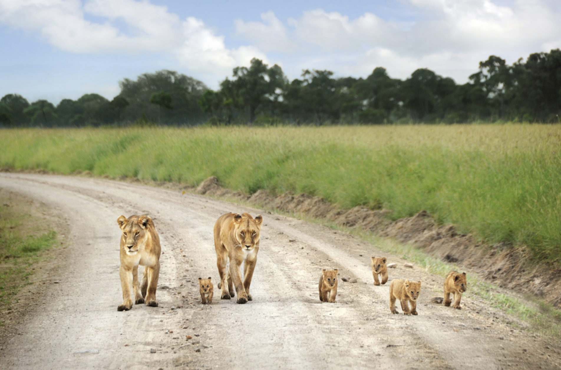 Kouroufing National Park