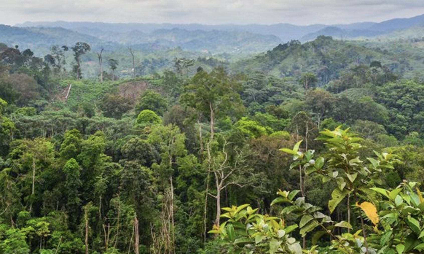 Lomami National Park