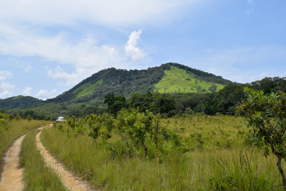 Mwagné National Park