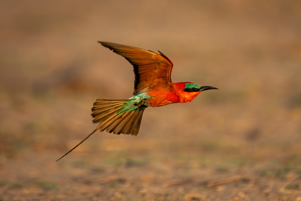 Luambe National Park