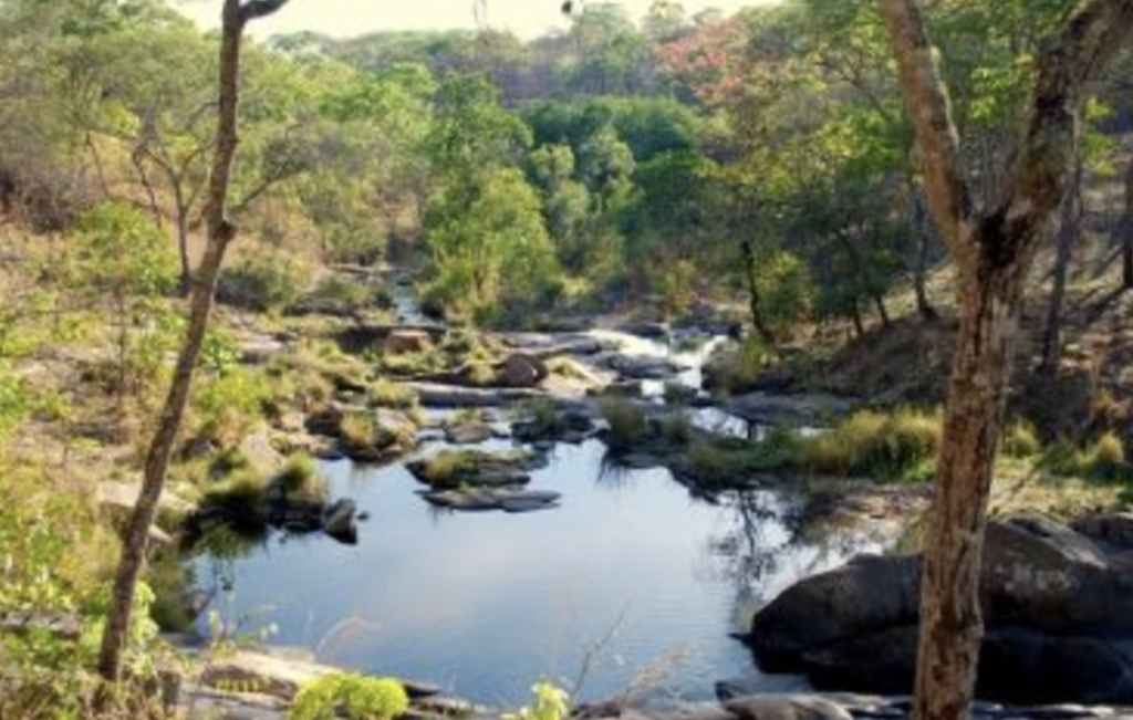 Zinave National Park