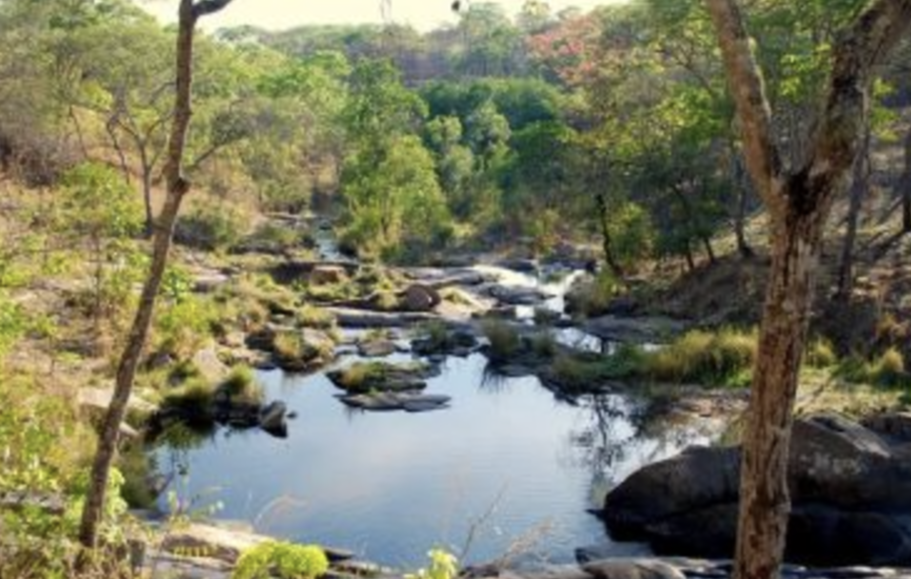 Magoe National Park