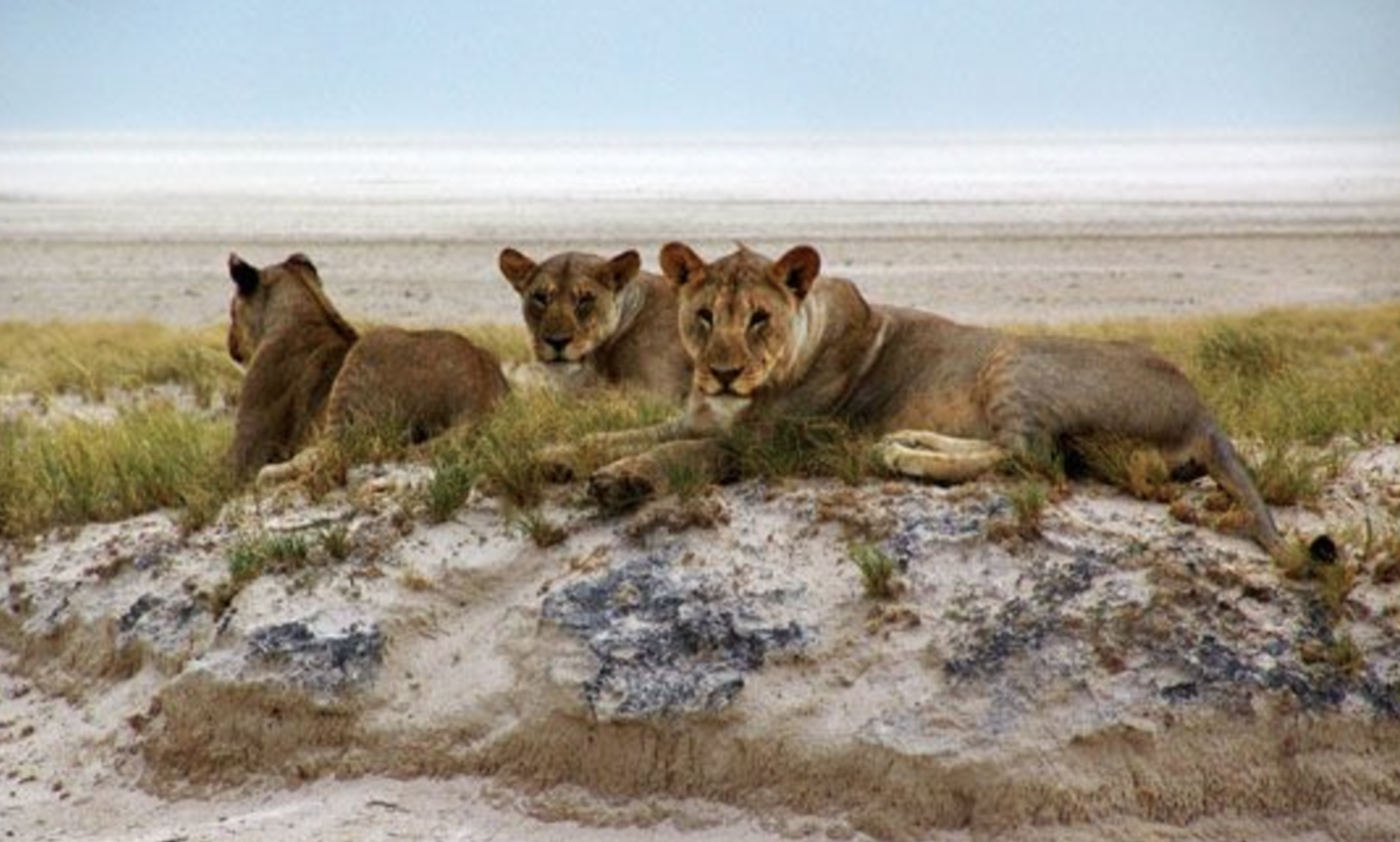 Mangetti National Park