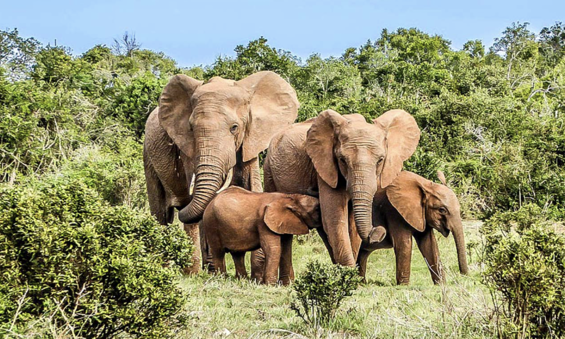 Marahoué National Park