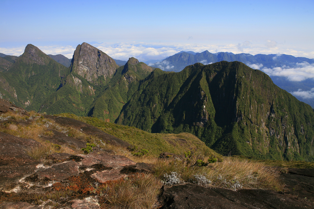 Marojejy National Park