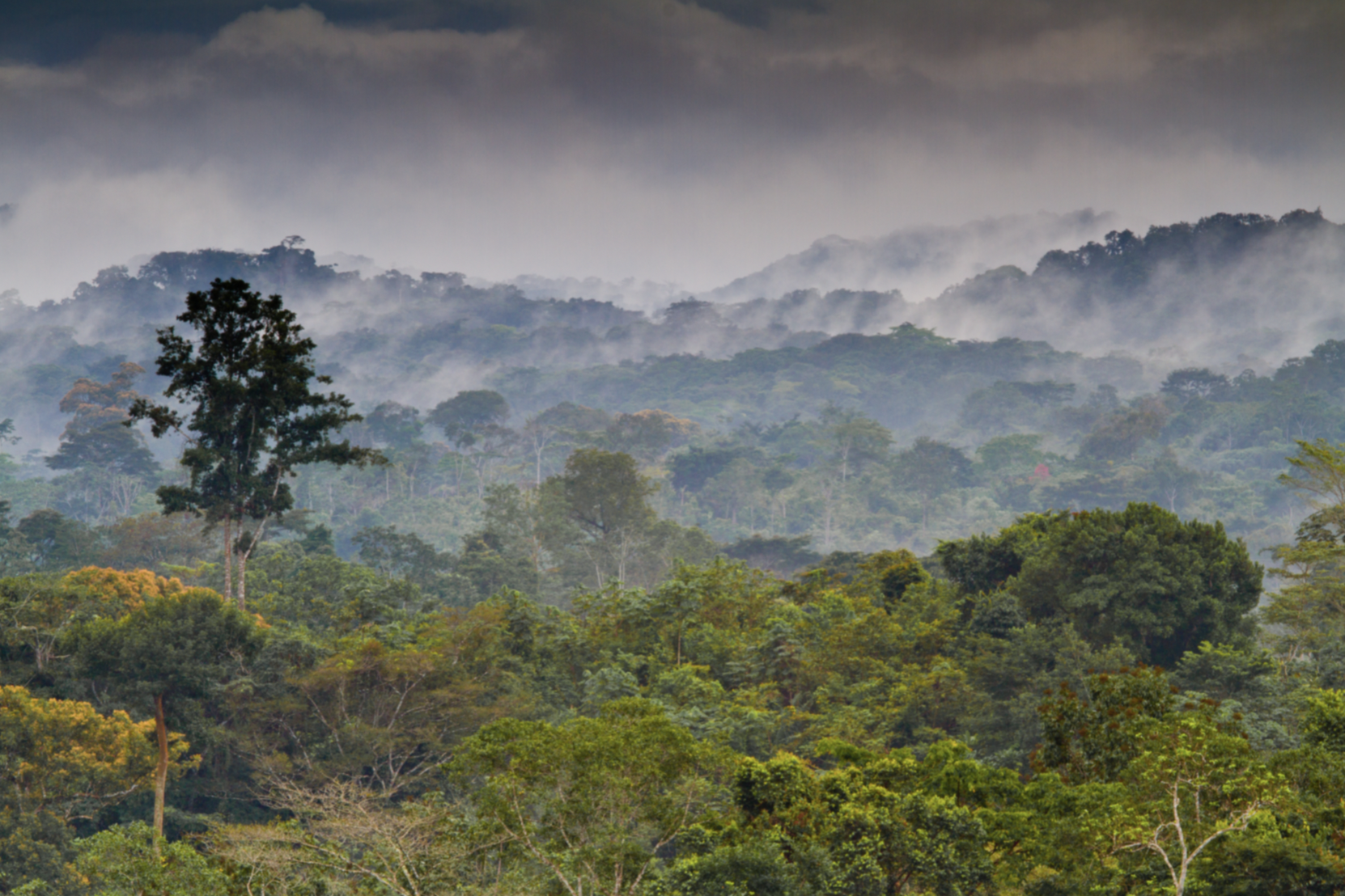 Monte Alén National Park