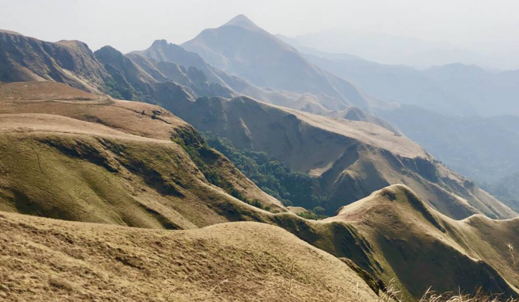 Taï National Park