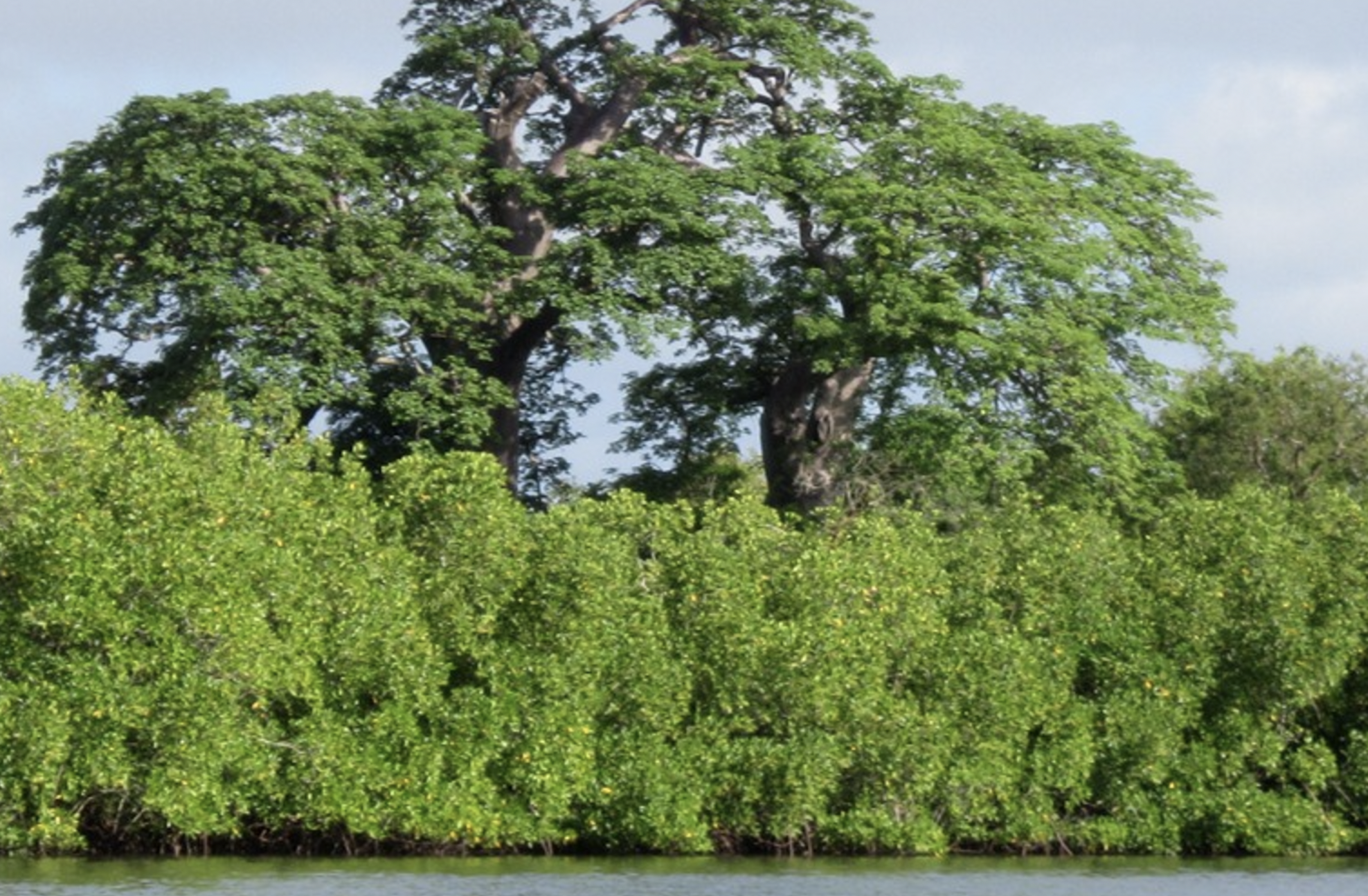 Niumi National Park