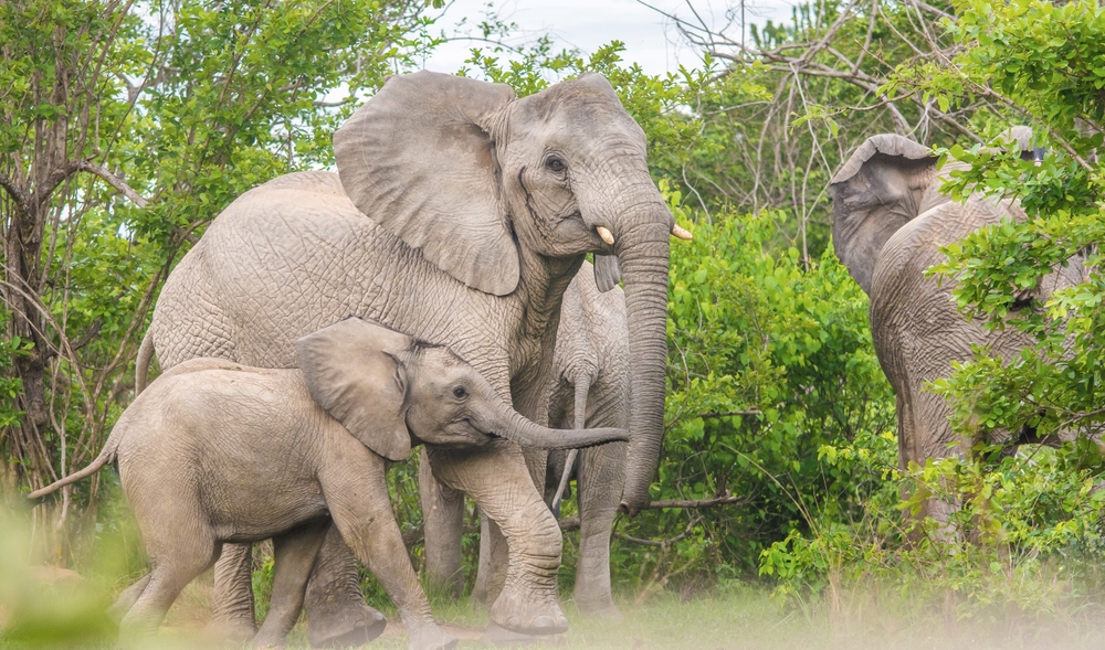 Nsumbu National Park