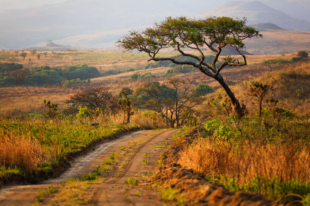 Nyika National Park