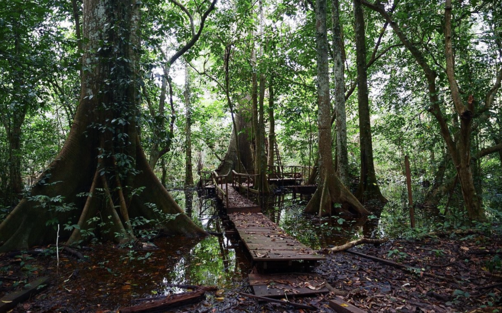 Old Oyo National Park