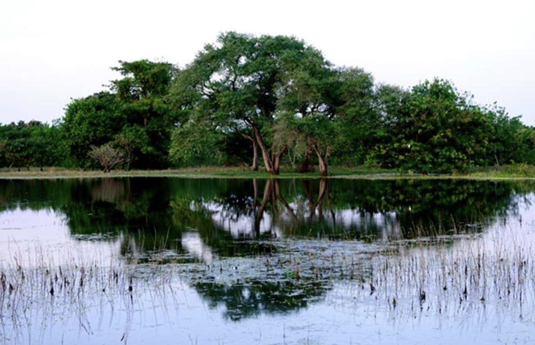 Orango National Park