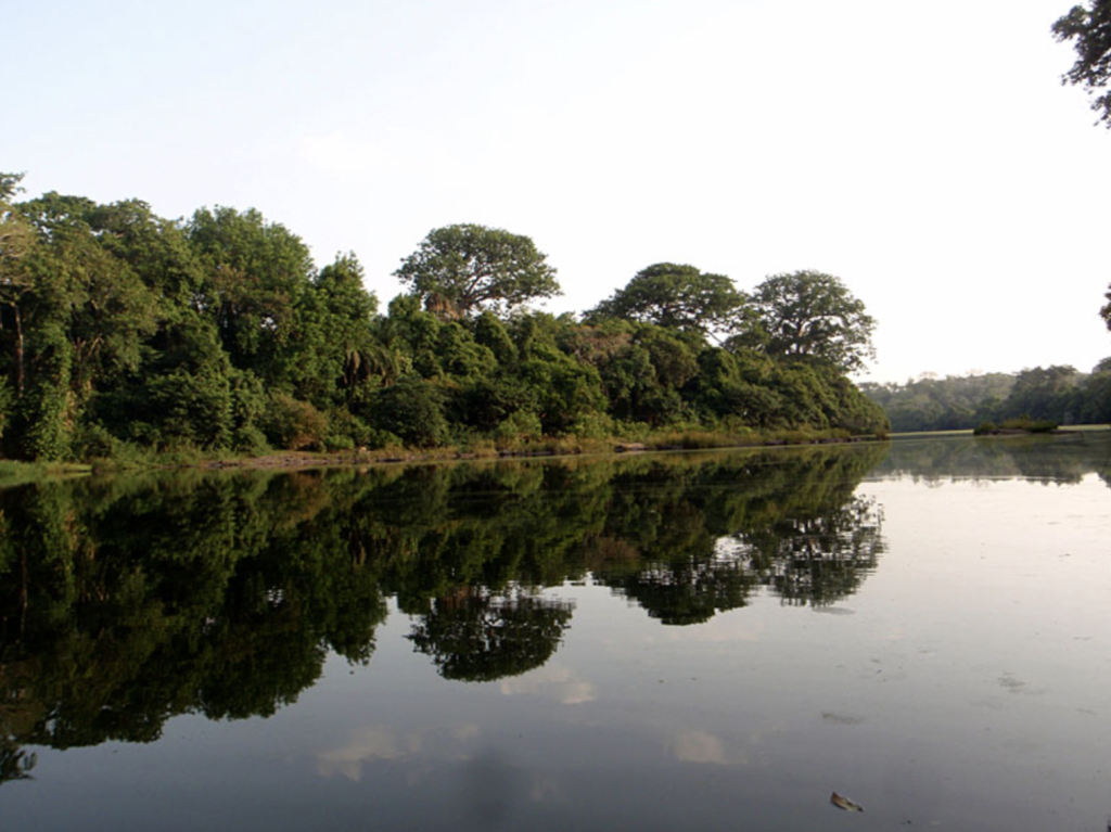 Western Area National Park