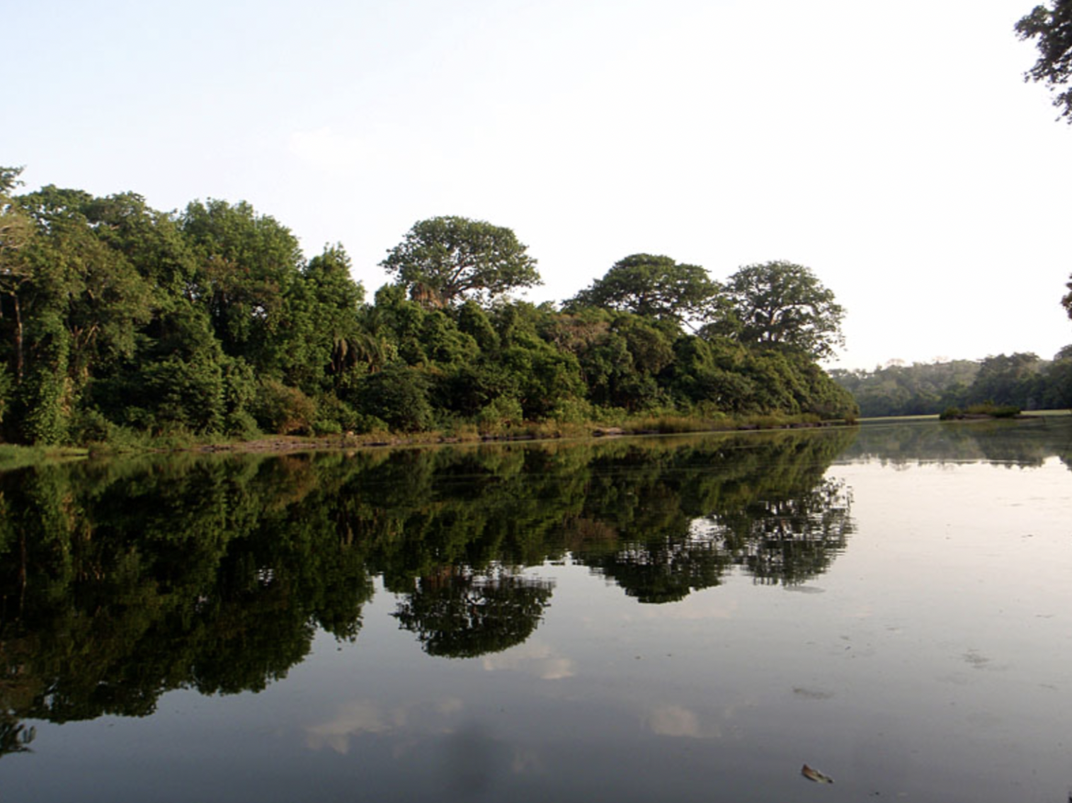 Outamba-Kilimi National Park