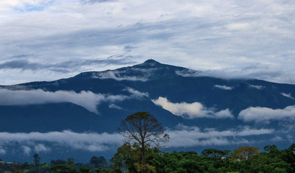 Monte Alén National Park