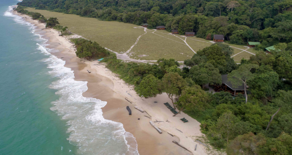 Waka National Park