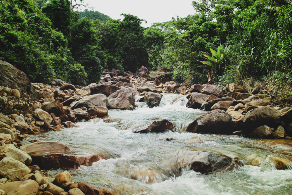 Botum Sakor National Park