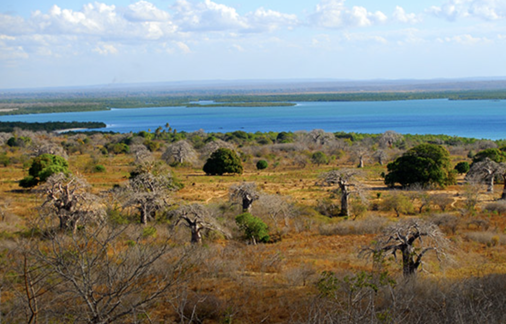 Zinave National Park