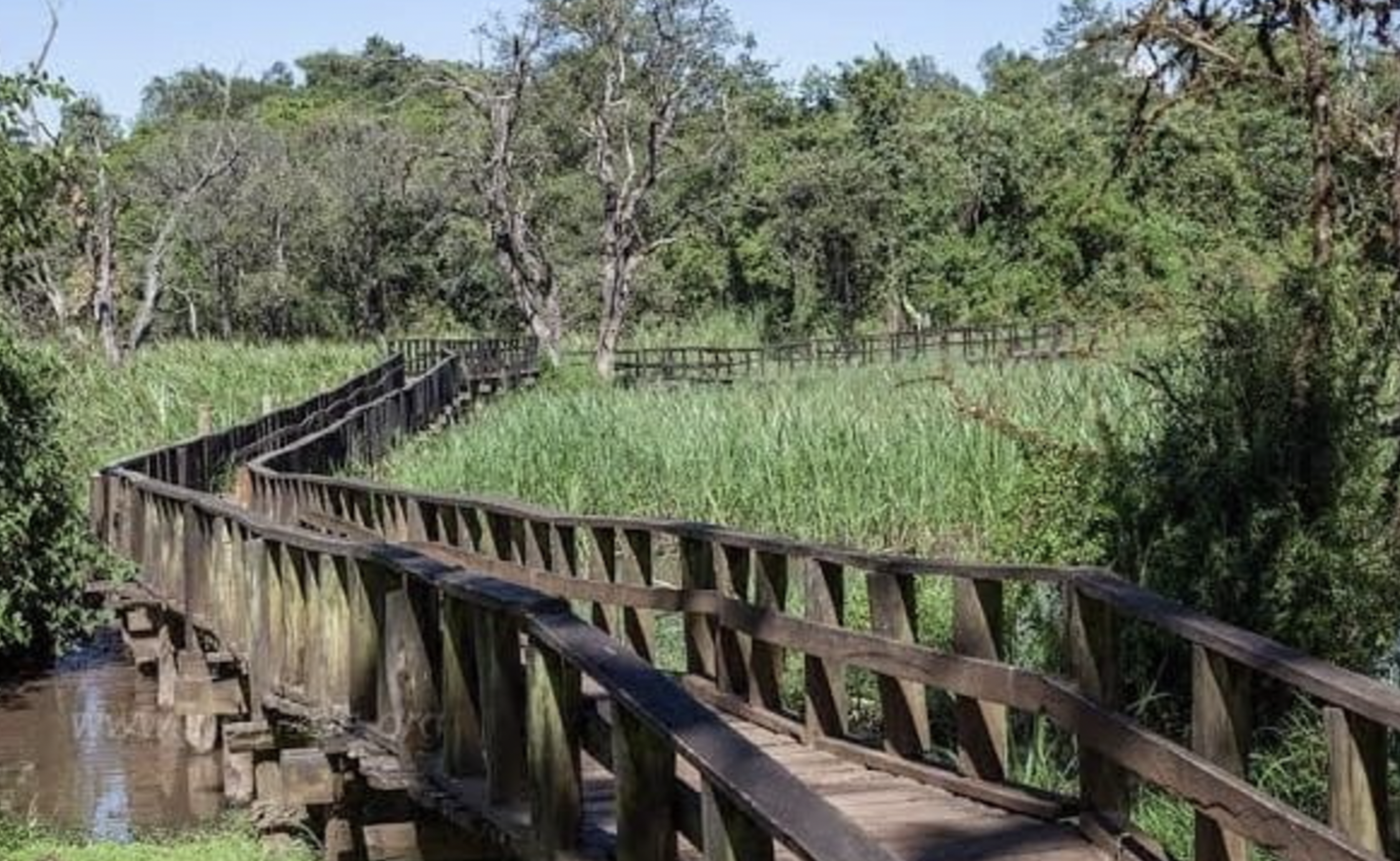 Saiwa Swamp National Park