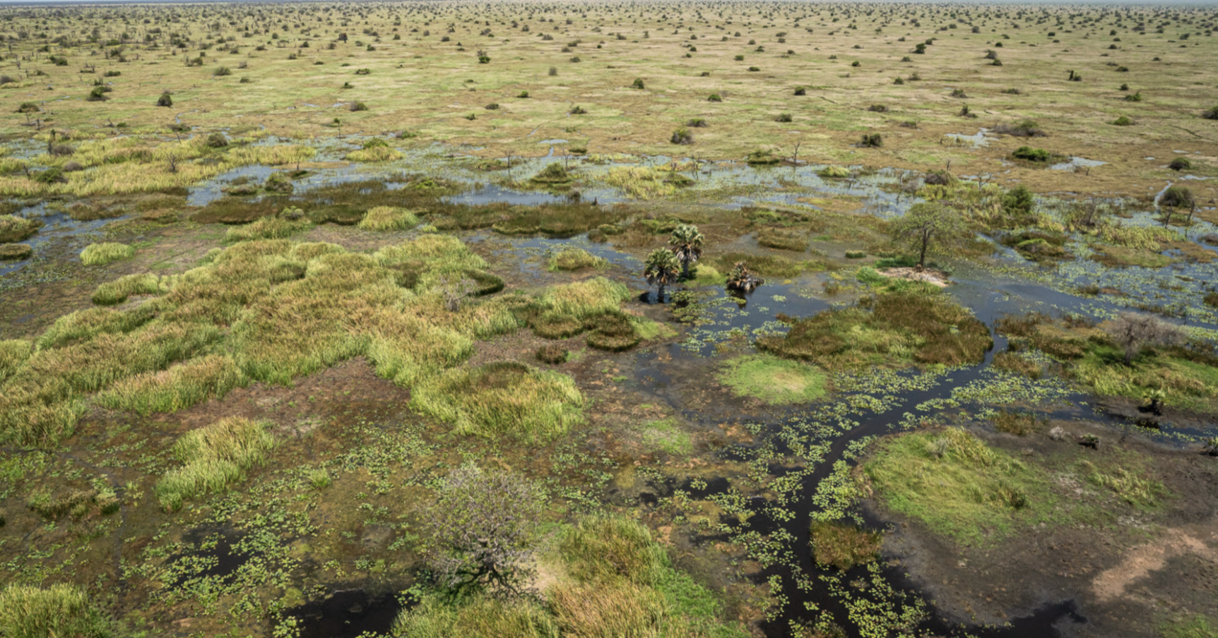 Shambe National Park