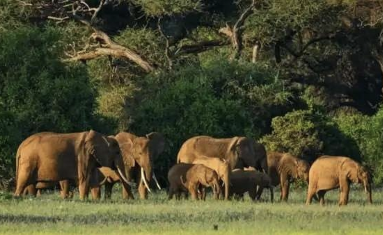 Southern National Park