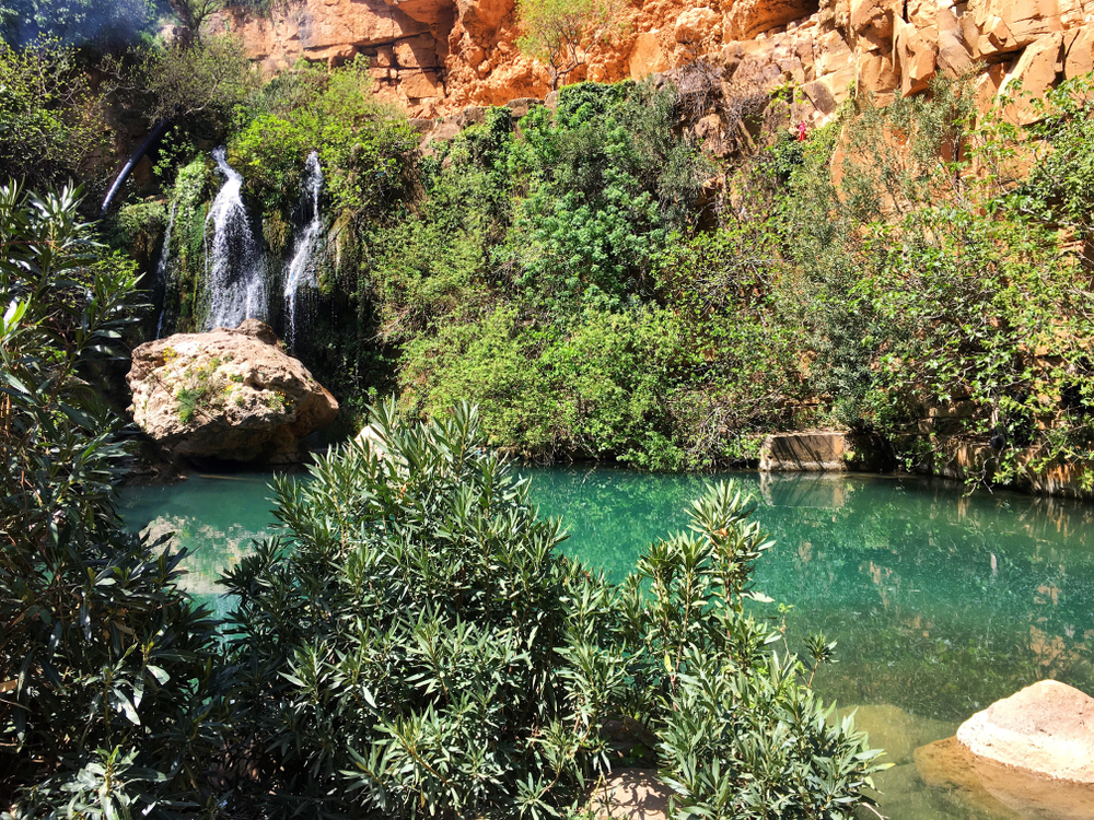 Theniet El Had National Park