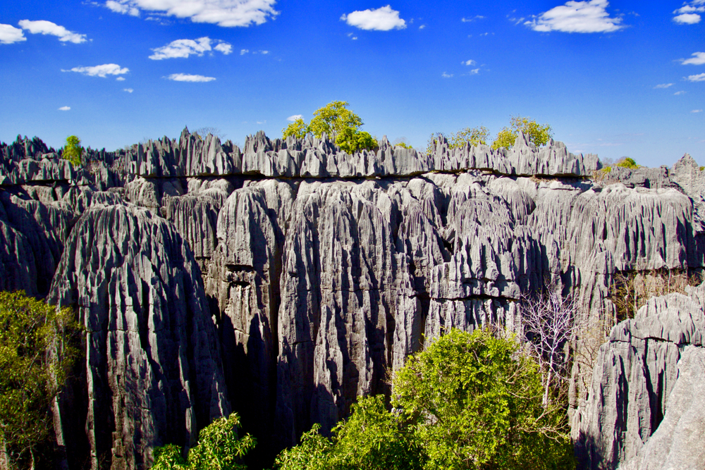 Midongy du Sud National Park