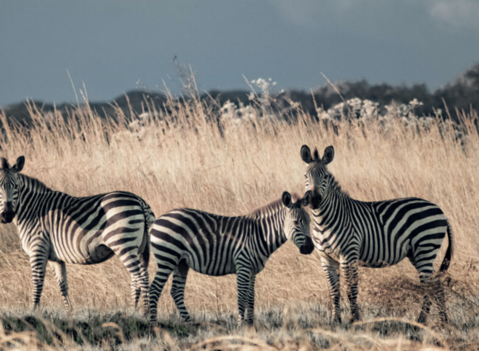 Upemba National Park