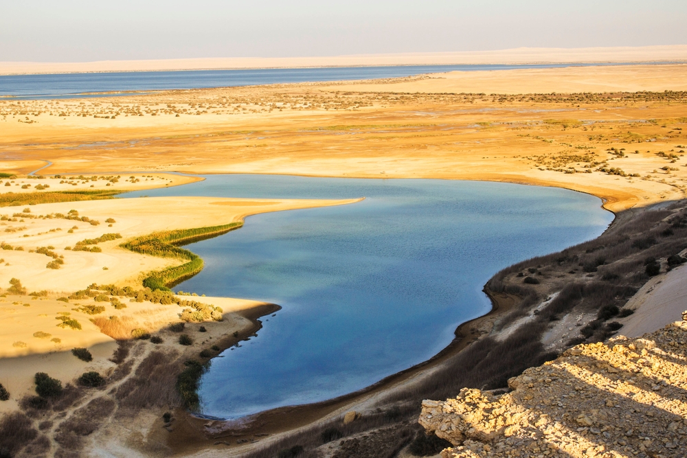 Wadi El Rayan National Park