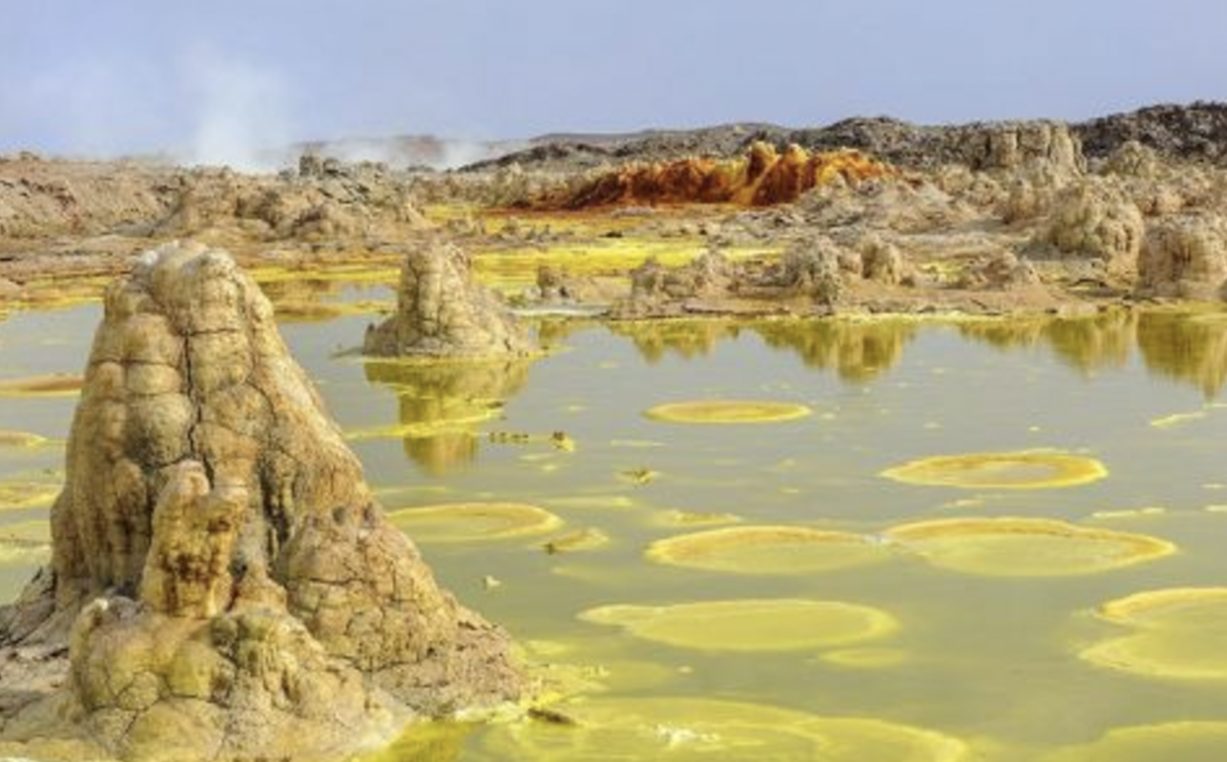 Yangudi Rassa National Park