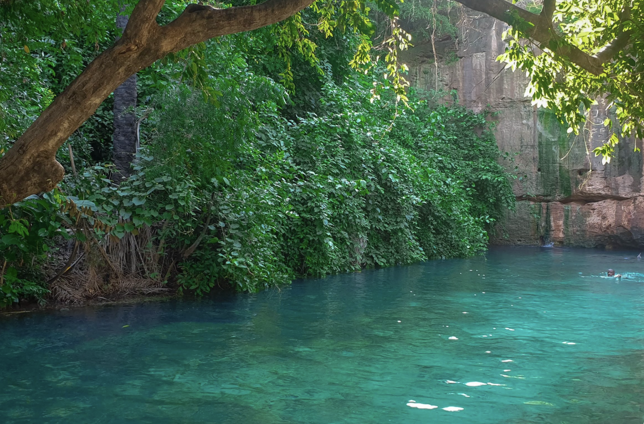 Yankari National Park