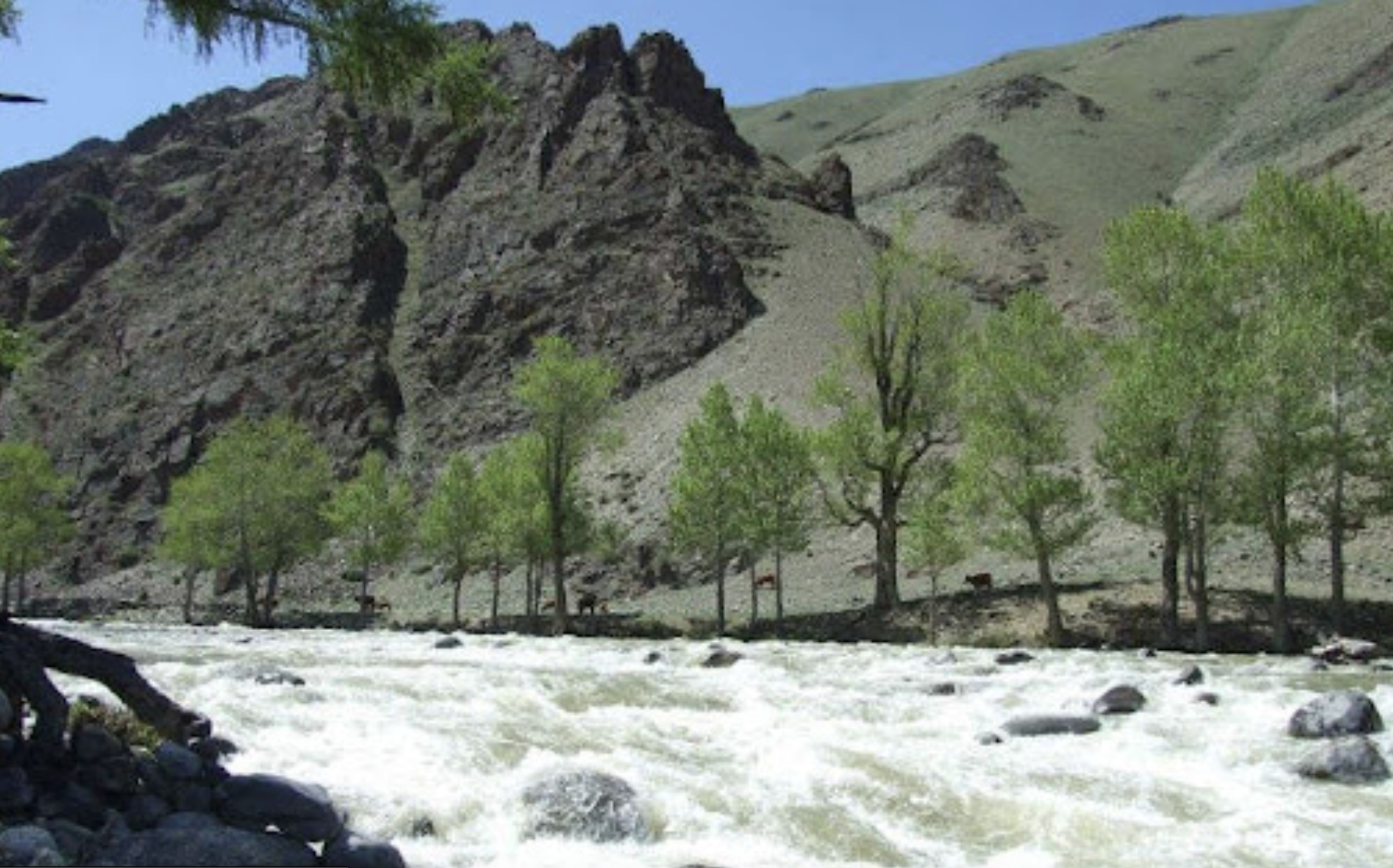 Bulgan Gol-Ikh Ongog National Park