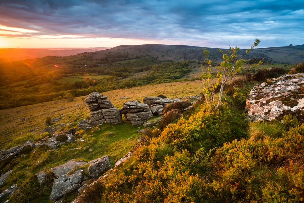 Dartmoor National Park