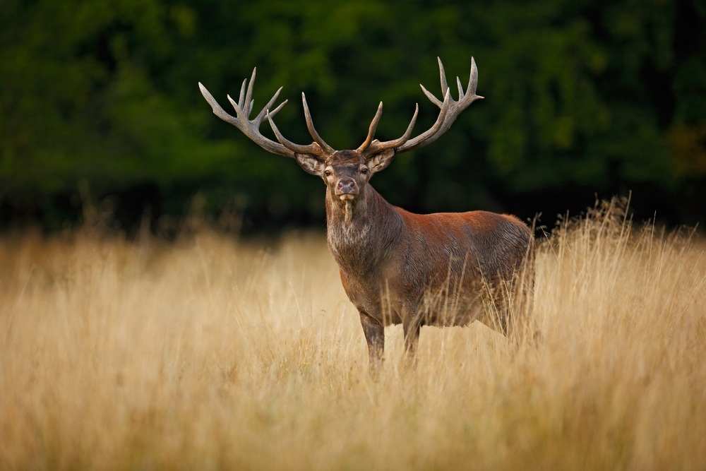 Kongernes Nordsjaelland National Park