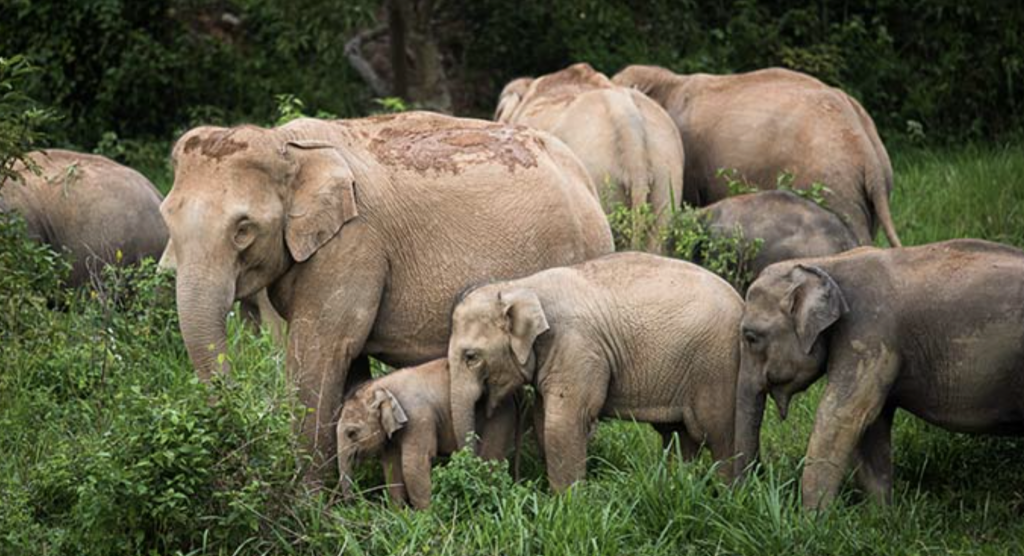 Namtok Chat Trakan National Park