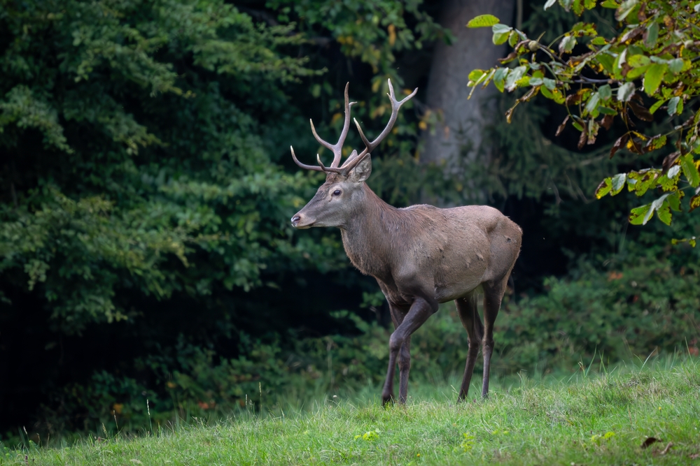 L'Entre-Sambre-et-Meuse National Park