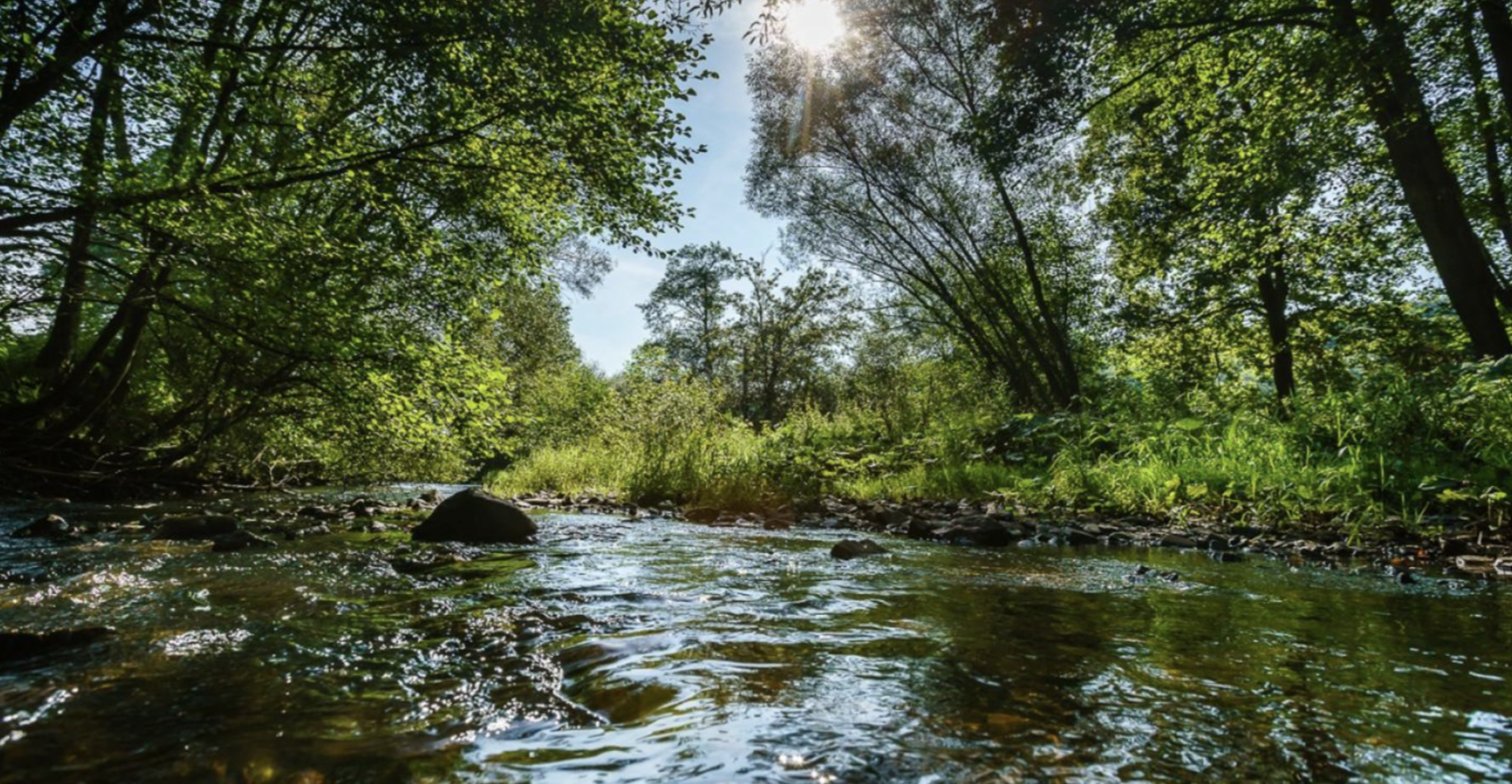 L'Entre-Sambre-et-Meuse National Park