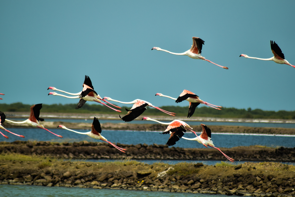 Marine National Park