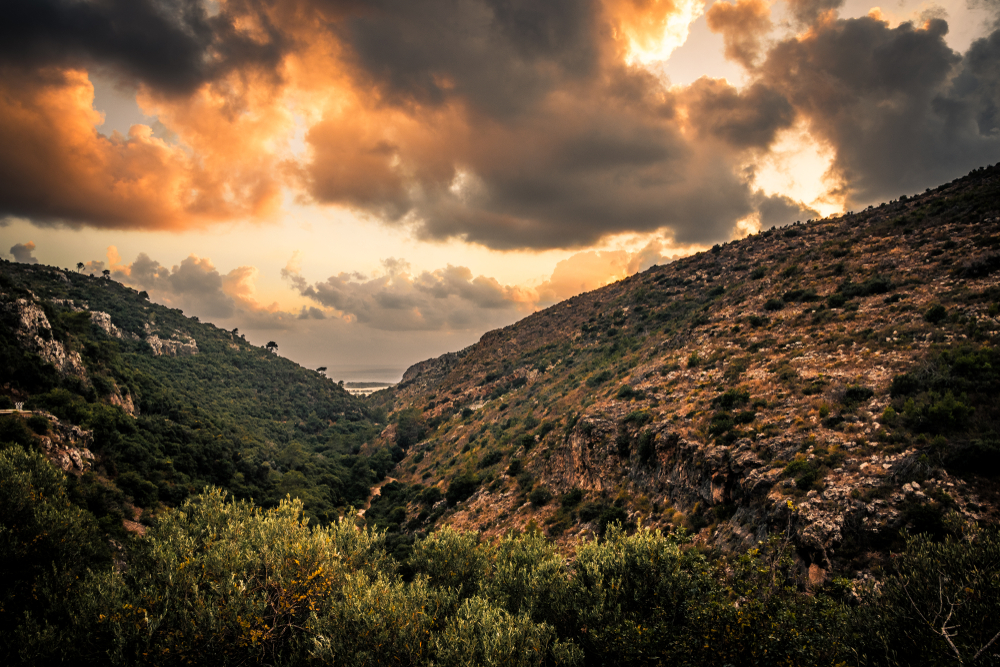 Mount Carmel National Park