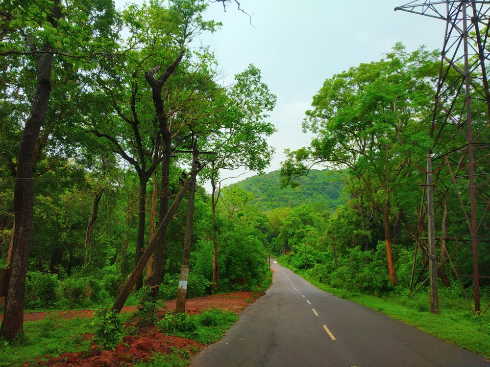 Papikonda National Park