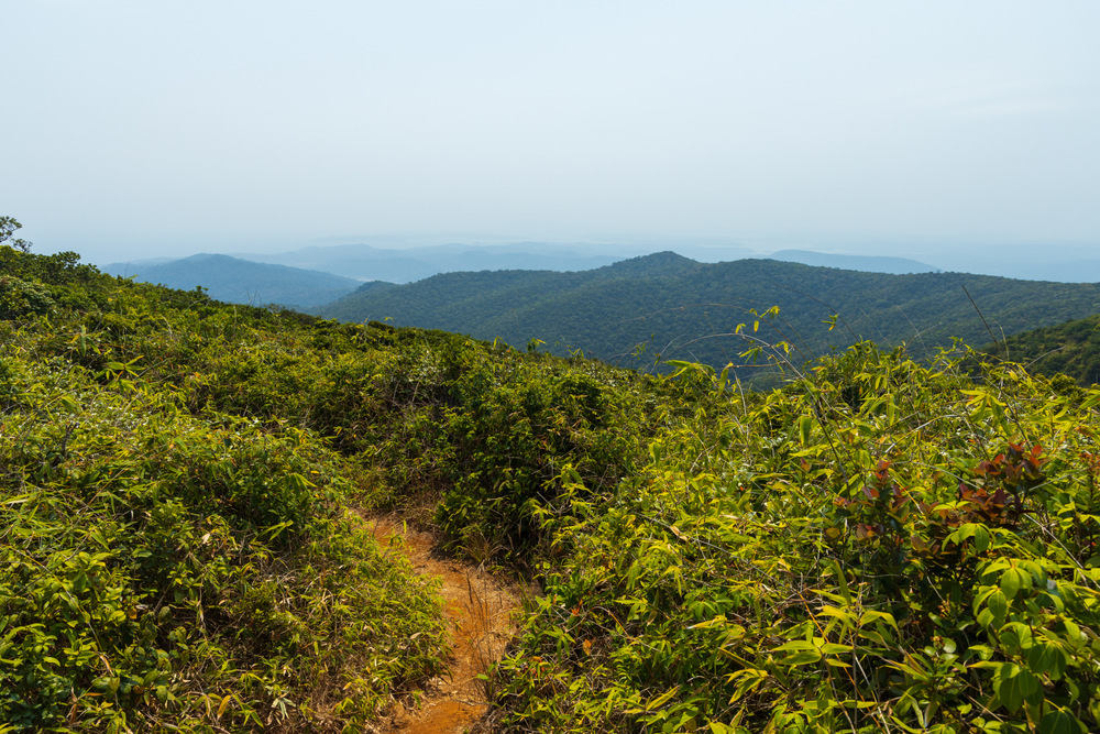 Saddle Peak National Park